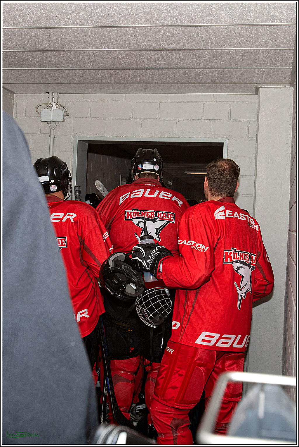 PENNY DEL; Koelner Haie- Red BUll Muenchen Sponsorenspiel; Koeln, 08.11.2022